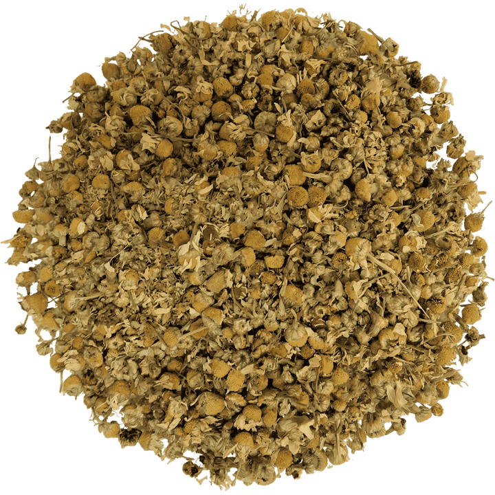 Chamomile