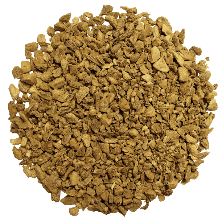 Ginger root - t leaf T | teas and infusions from around the world