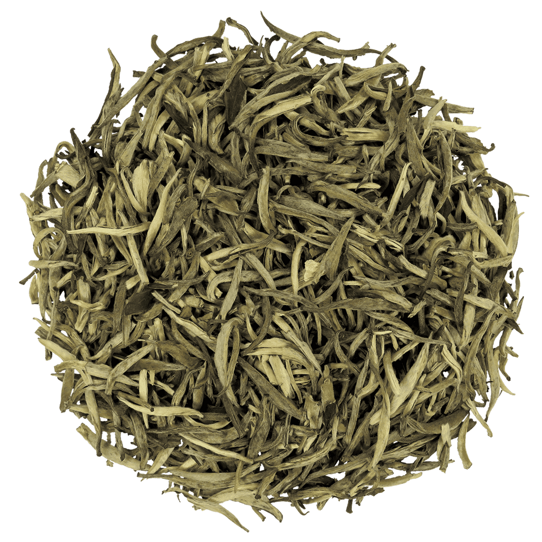 White peony - t leaf T | teas and infusions from around the world